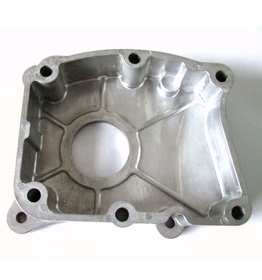 Image-1